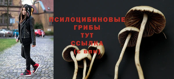 apvp Армянск