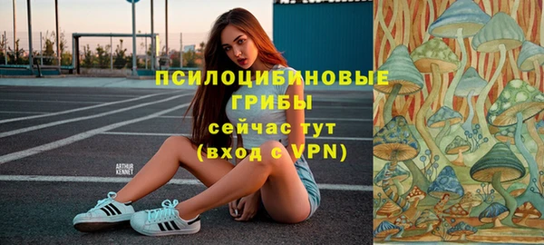 круглые Аркадак