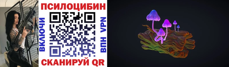 Псилоцибиновые грибы GOLDEN TEACHER  Мамадыш 